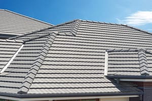 steep slope commercial concrete tile roof
