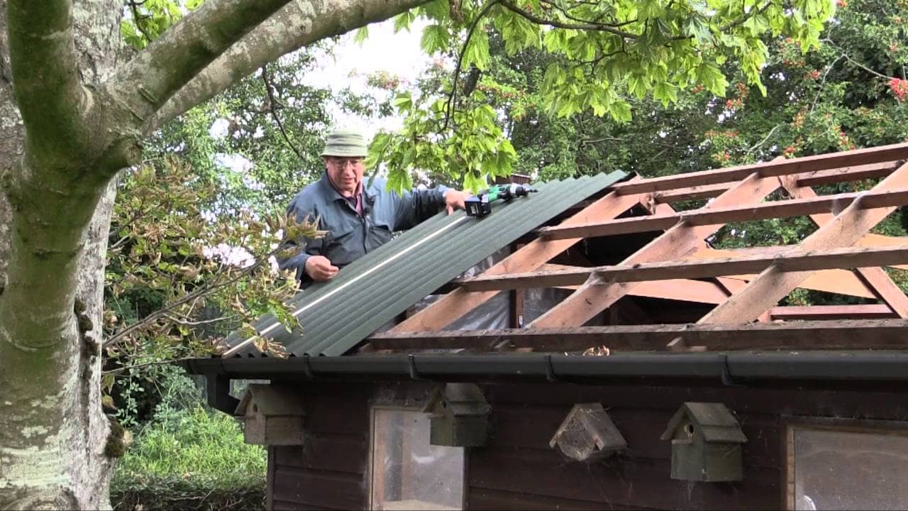 new roofing shed