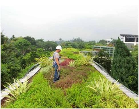 How To Make A Green Roof?